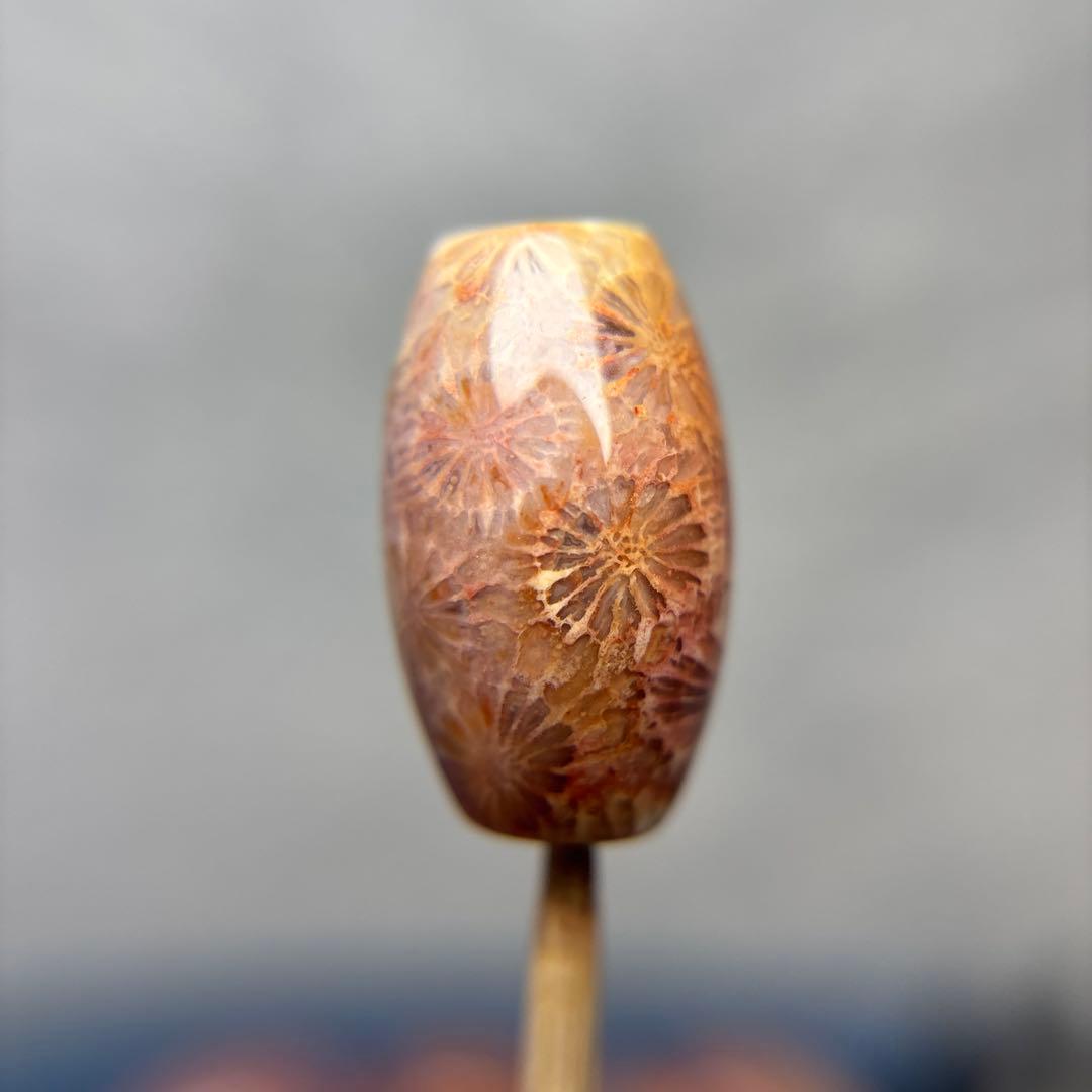 ユッキーフォッシルコーラル　天珠　1-325