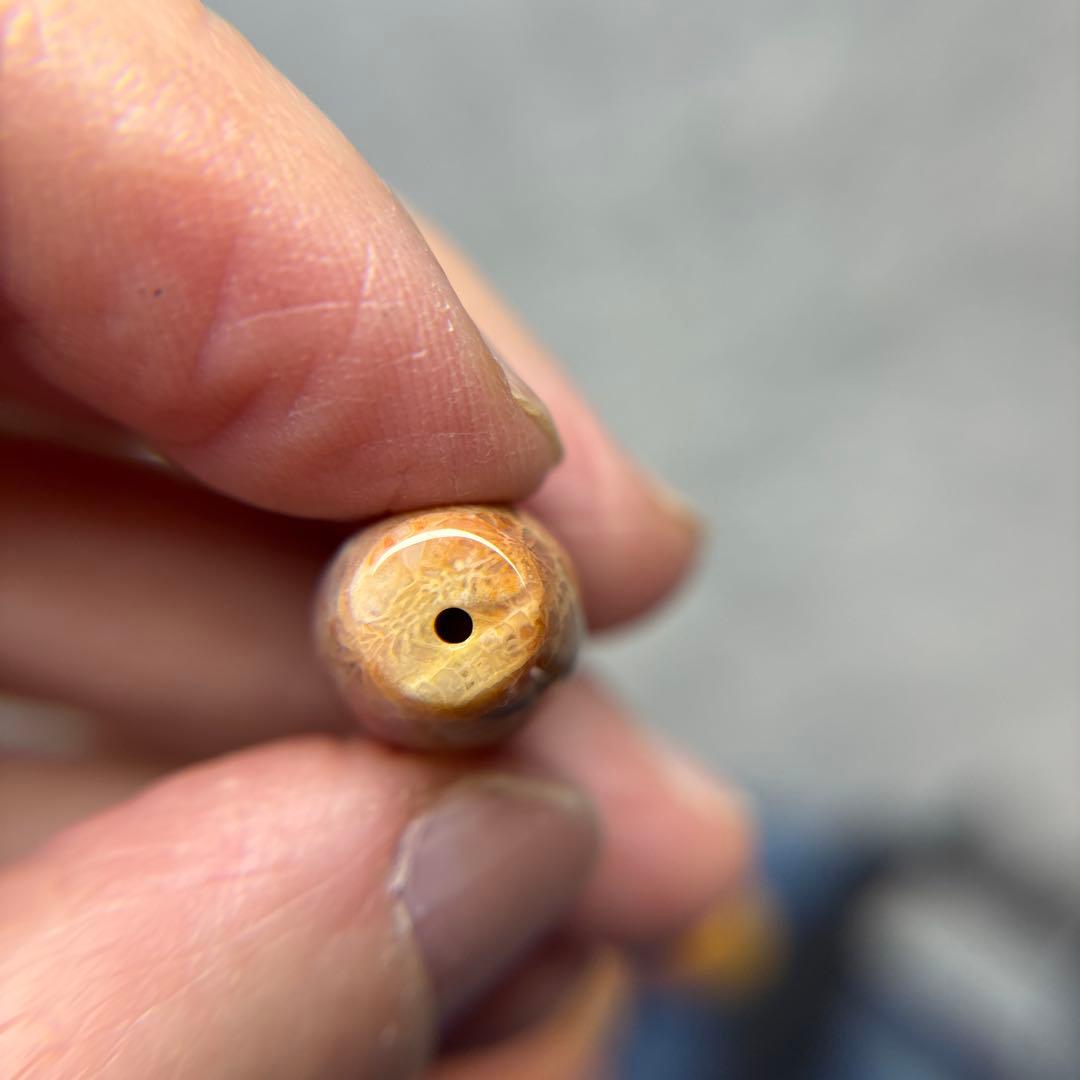 ユッキーフォッシルコーラル　天珠　1-325