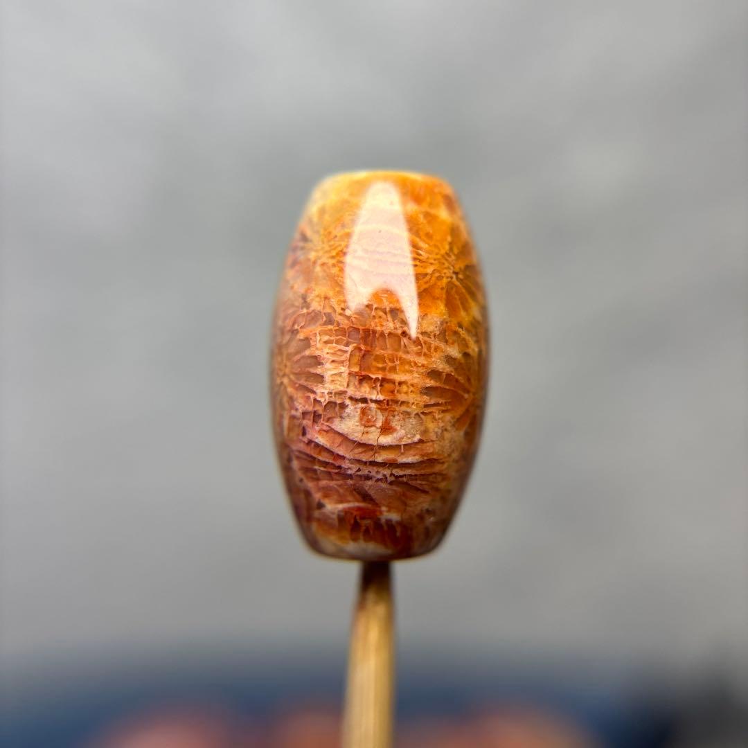 ユッキーフォッシルコーラル　天珠　1-325