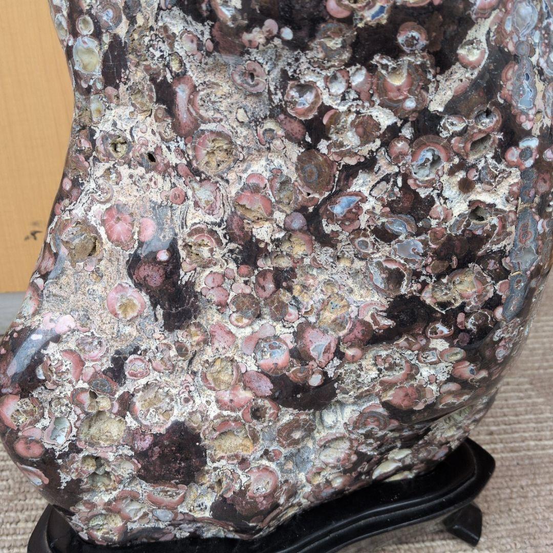 新潟産　梅花石　13キロ　鑑賞石　石 置物　オブジェ　インテリア