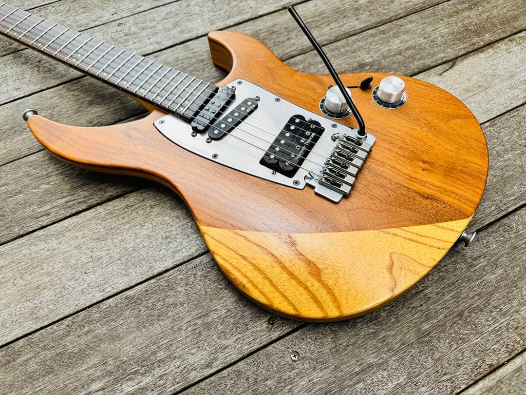 1998年に発売された幻のギターSelva Ignite - メルカリ