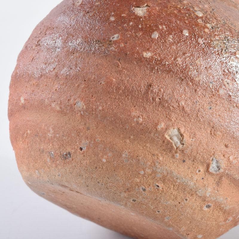 茶道具 信楽焼 上田寿方作 茶入 仕覆付 共箱 V 8952 - メルカリ