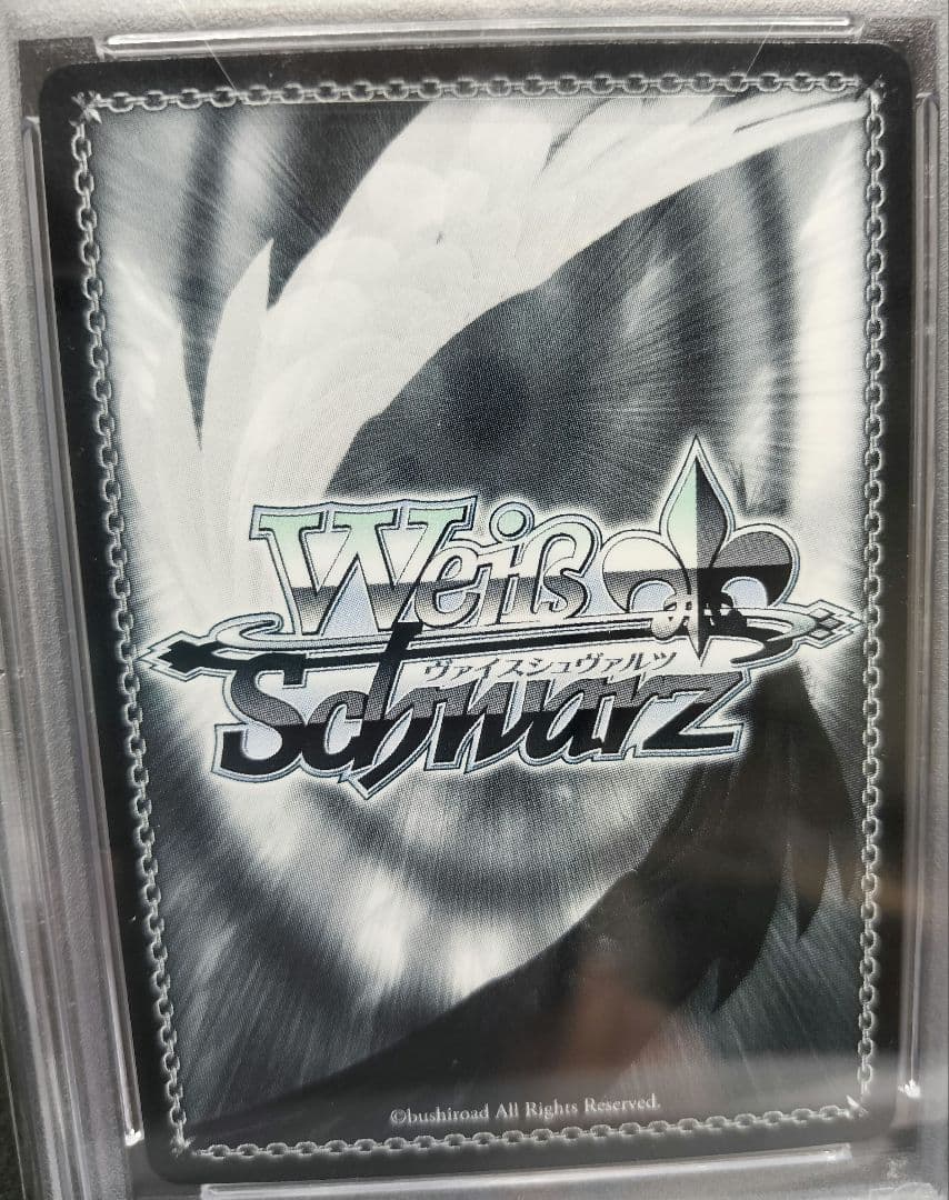 勝利はあたしのためにある! リナSECPSA10（箔押しサイン）スレイヤーズ