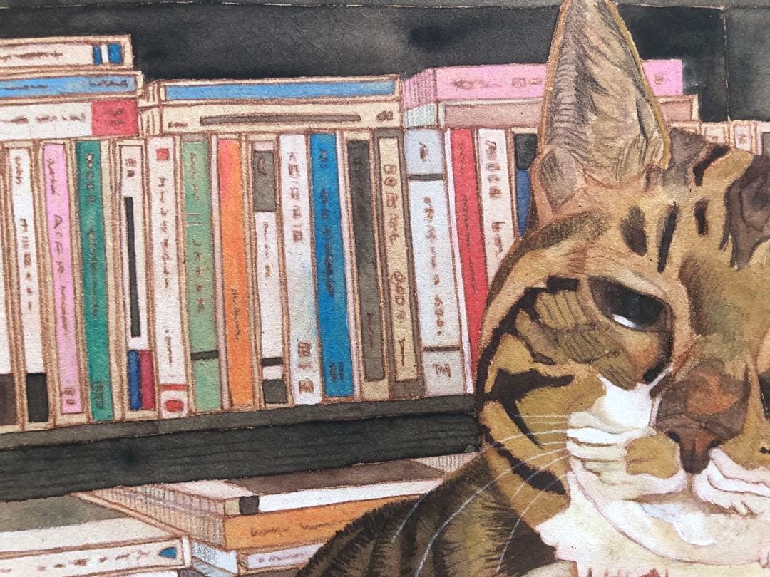 《送料無料》原画「書斎の猫」猫イラスト