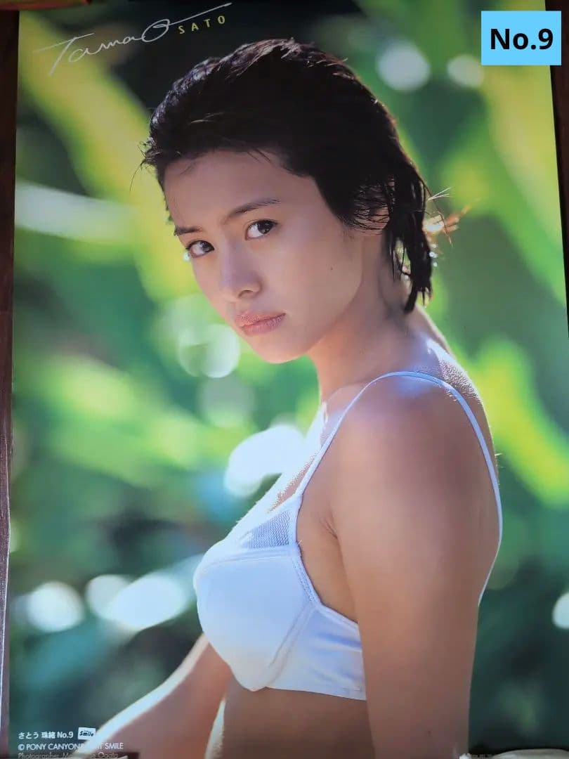 さとう玉緒 ポスター11枚セット ◇ 非売品 ◇ - メルカリ