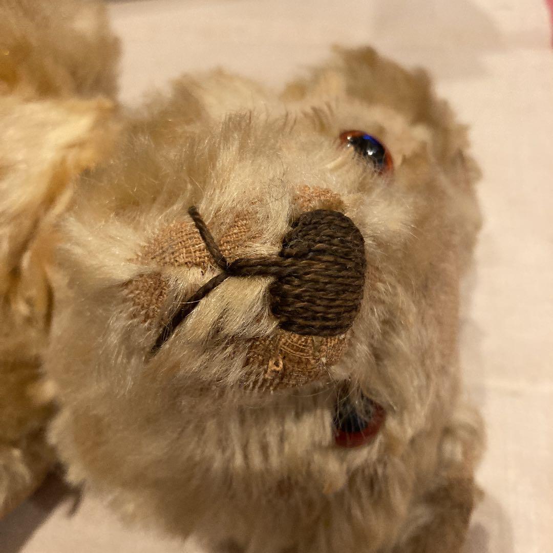 アルファートイ　テディベア