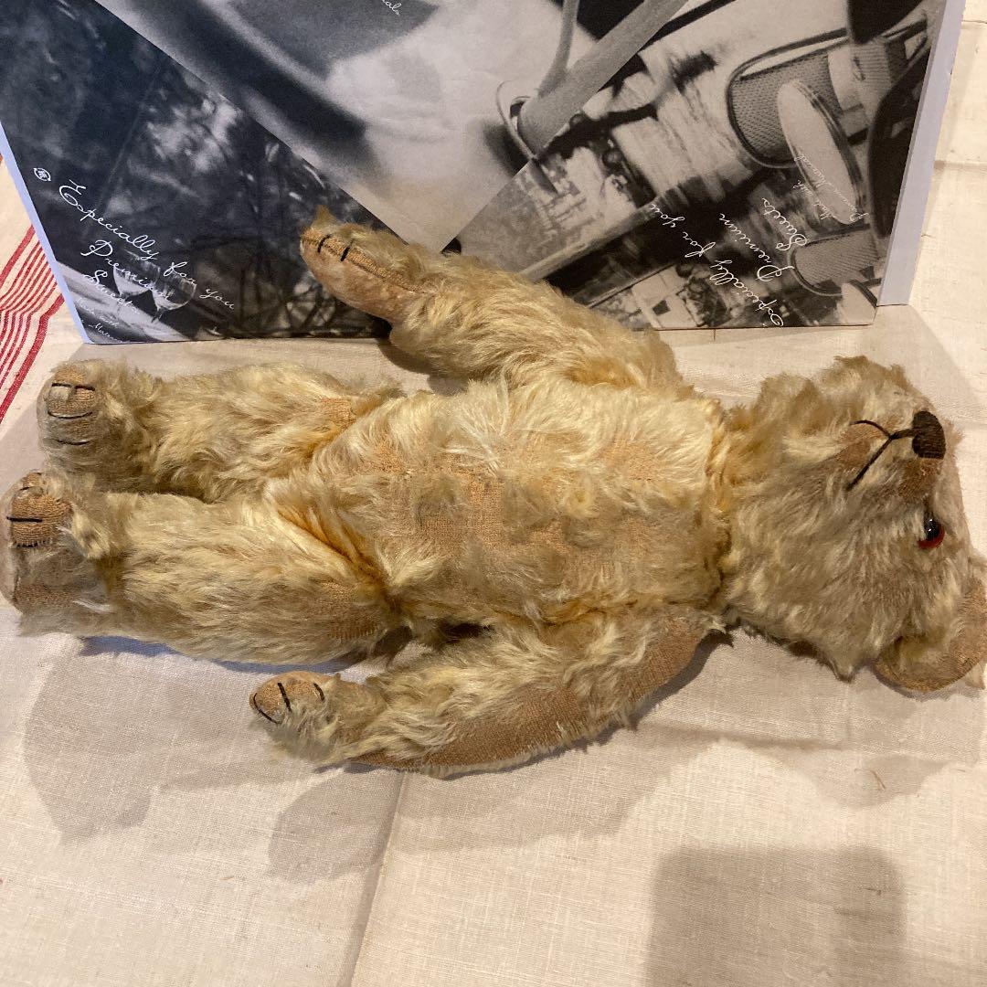 アルファートイ　テディベア