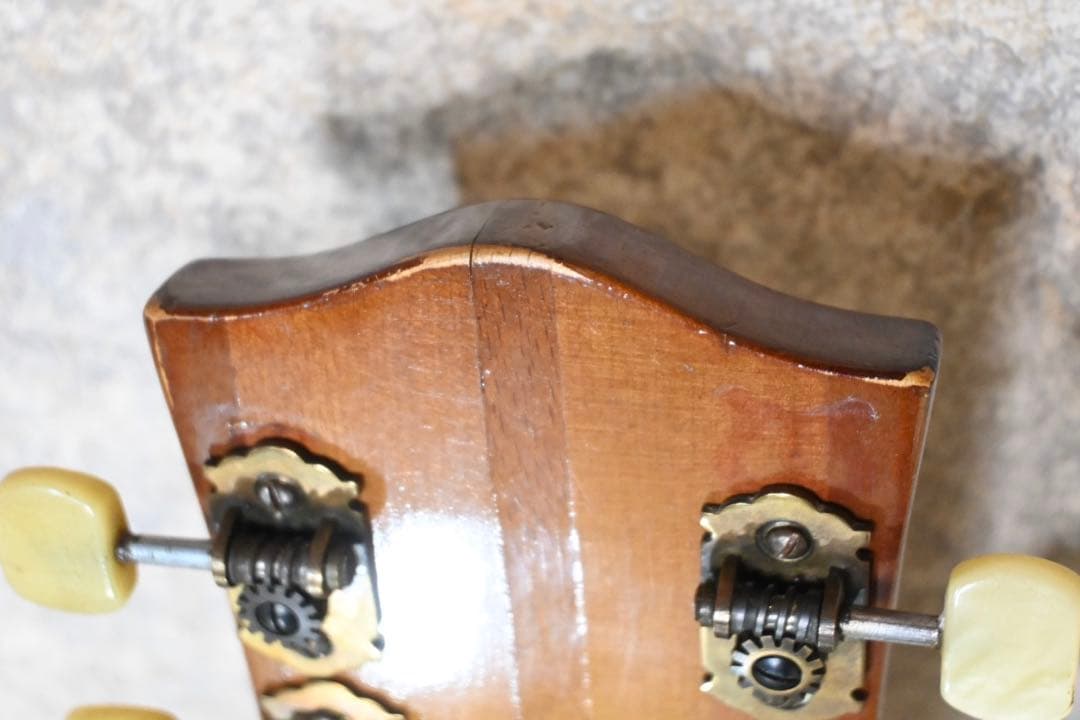 50s Vintage】Hofner 455 アーチトップ ヘフナー ドイツ製 - メルカリ