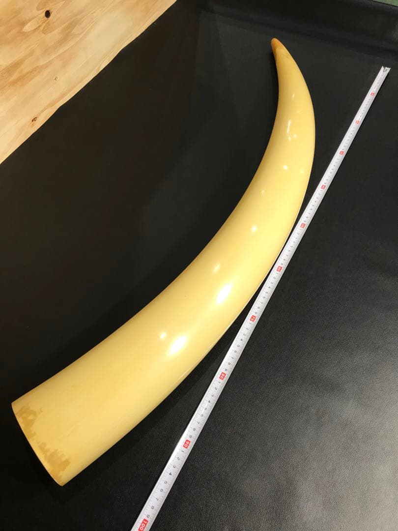 象牙風置物 レプリカ 練り物　オブジェ 一本牙 全長100cm