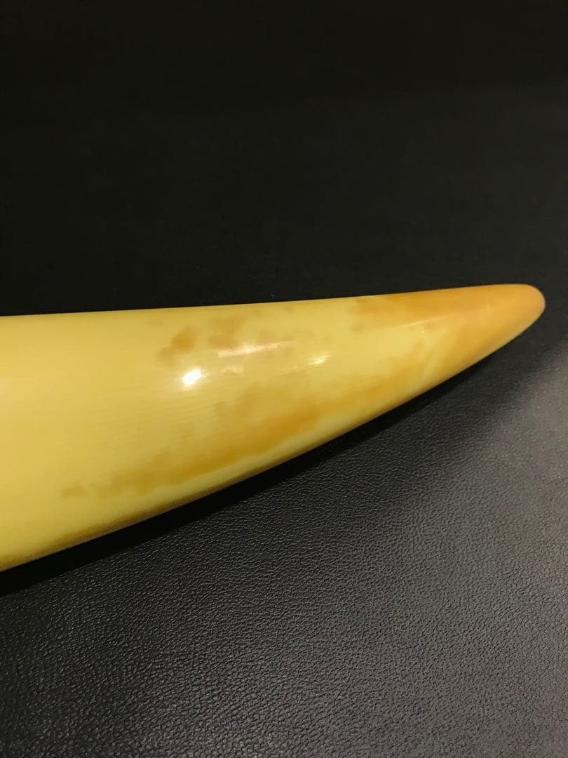 象牙風置物 レプリカ 練り物　オブジェ 一本牙 全長100cm