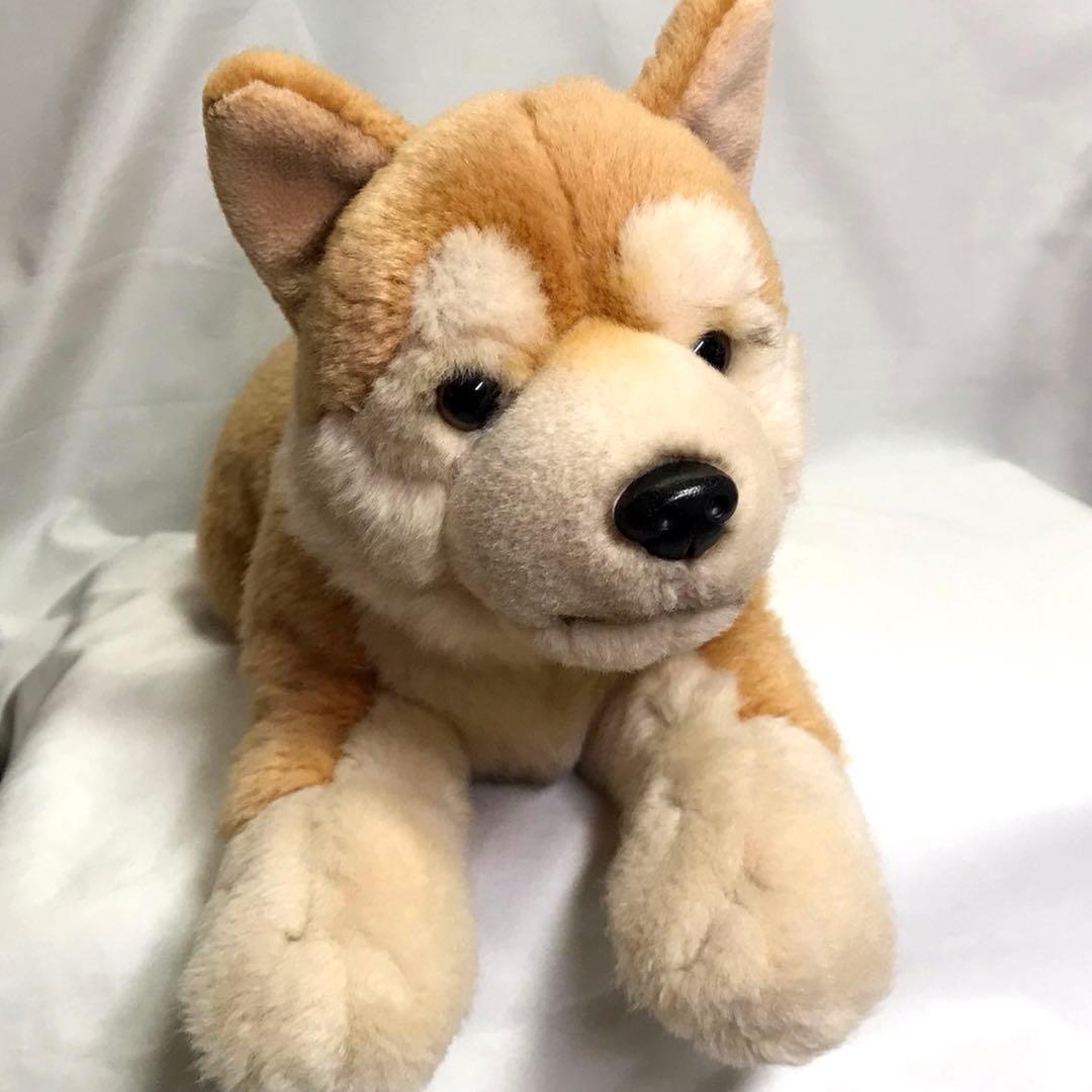 レガロ REGALO ぬいぐるみ 柴犬 - メルカリ