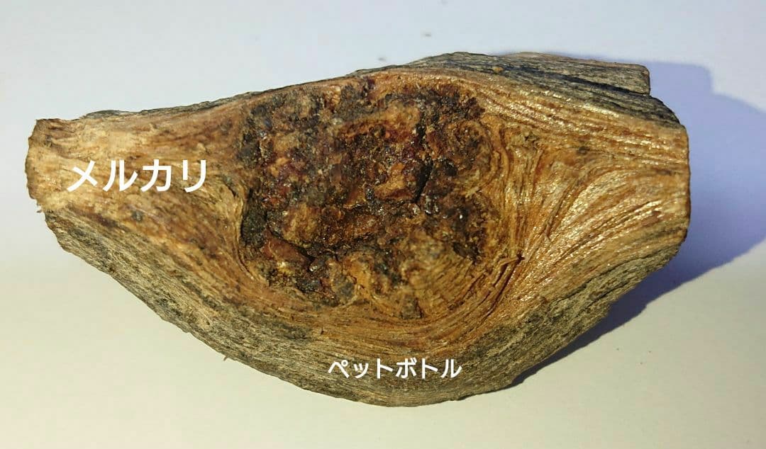 香木 沈香 伽羅 聞香◎品名:ブルー白檀の根っこ15g