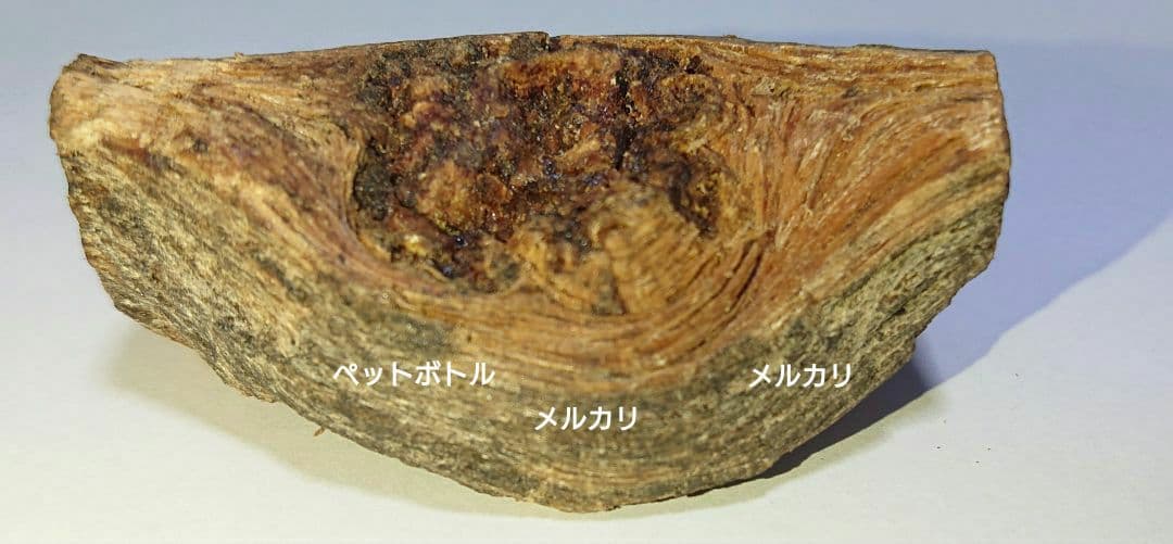 香木 沈香 伽羅 聞香◎品名:ブルー白檀の根っこ15g