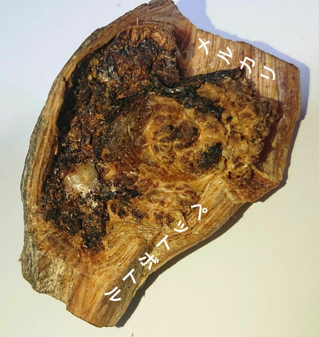 香木 沈香 伽羅 聞香◎品名:ブルー白檀の根っこ15g
