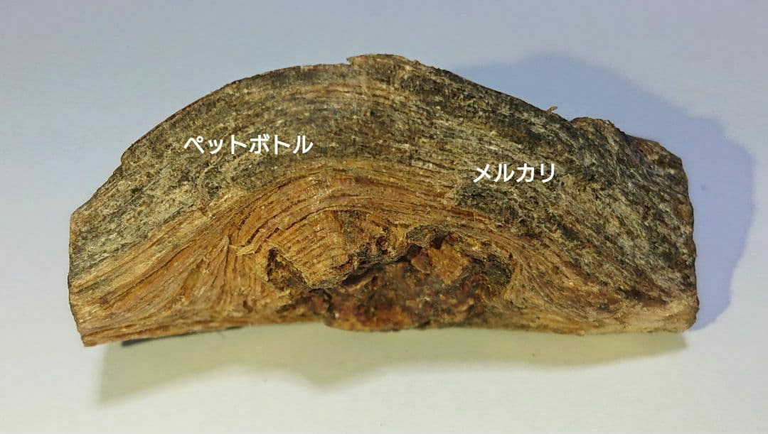 香木 沈香 伽羅 聞香◎品名:ブルー白檀の根っこ15g