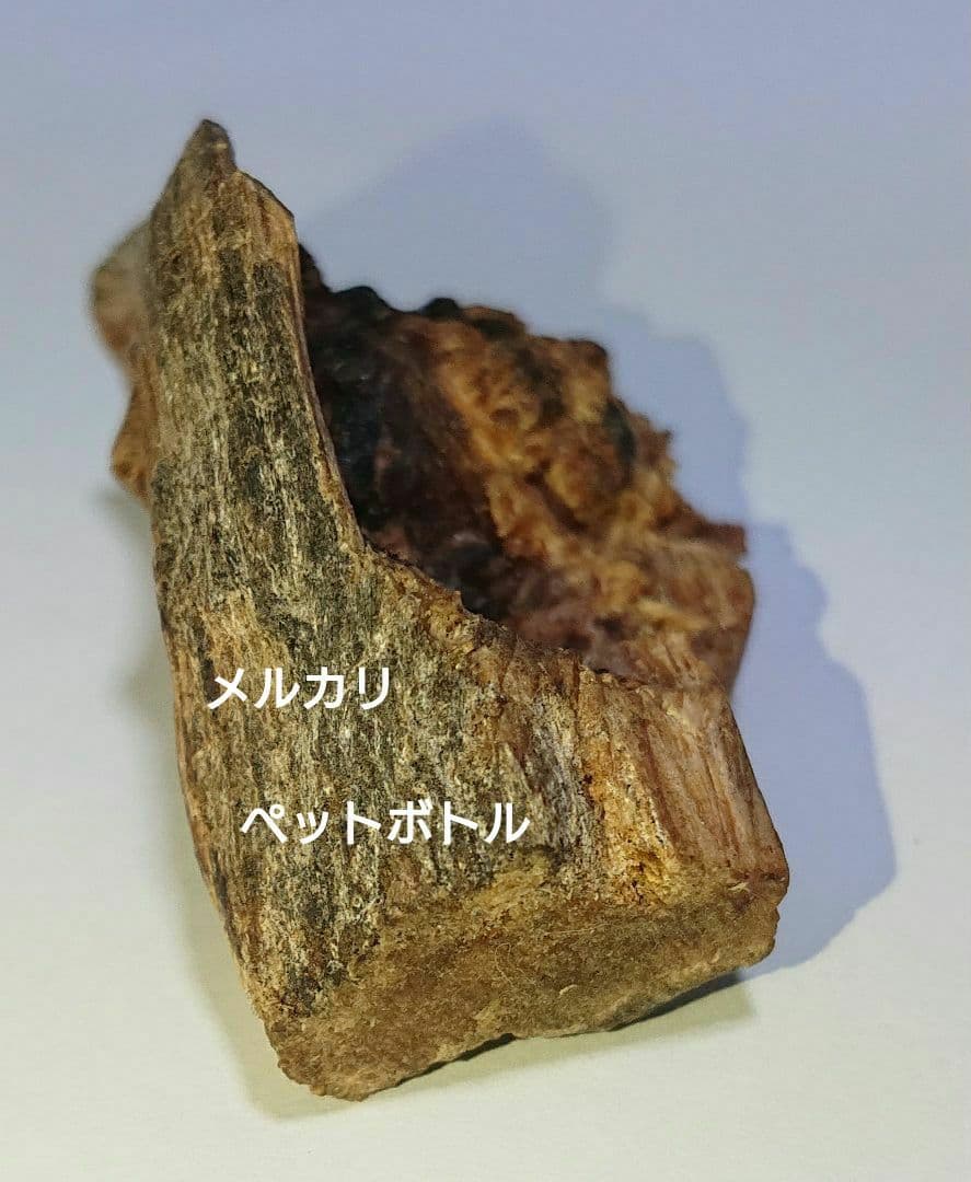 香木 沈香 伽羅 聞香◎品名:ブルー白檀の根っこ15g