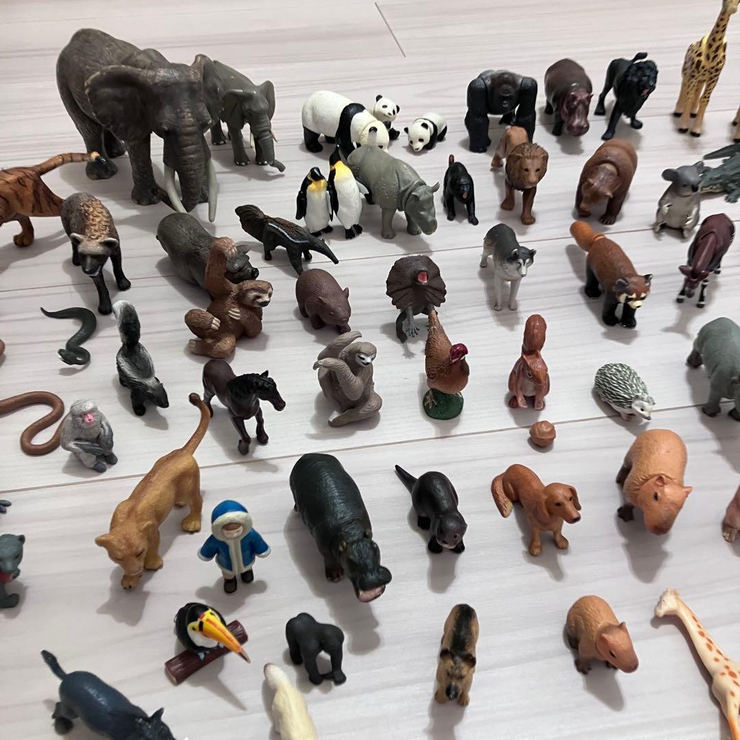 アニア　シャライヒ　アニマル　動物　海の生き物　昆虫　フィギュア　セット