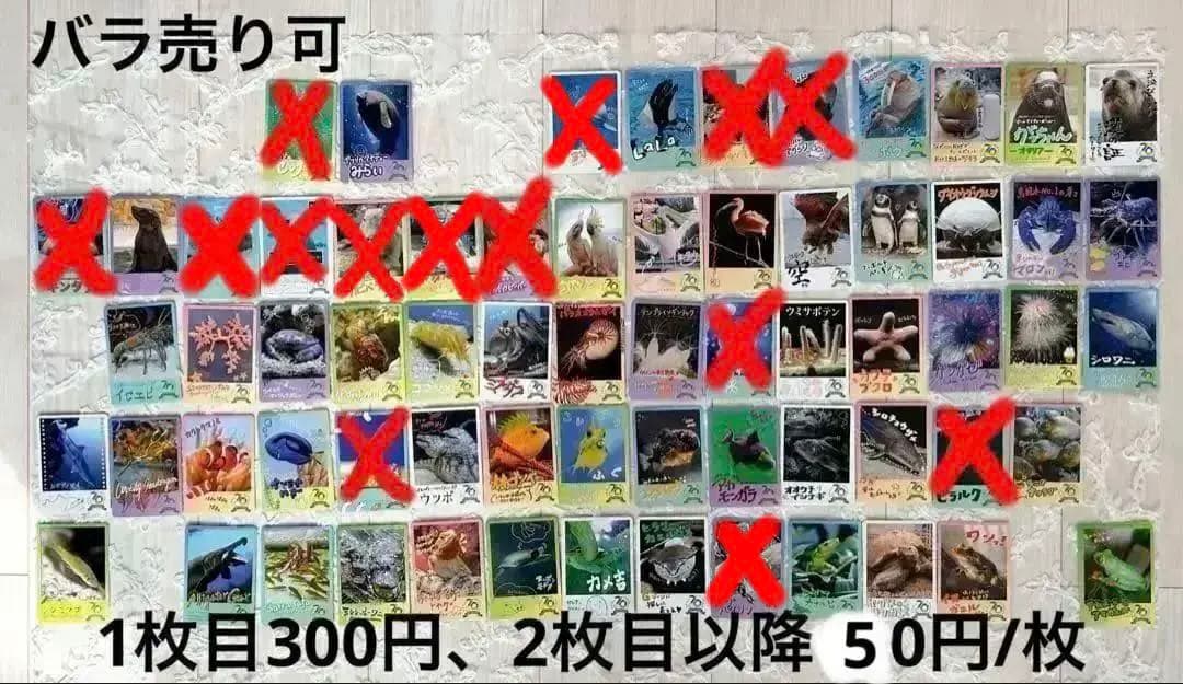 バラ売り可】鳥羽水族館 70周年記念 コレクションカード ノーマル57種
