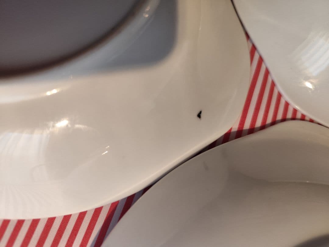 LOONEY TUNES グラス 昭和レトロ レトロポップ カレー皿