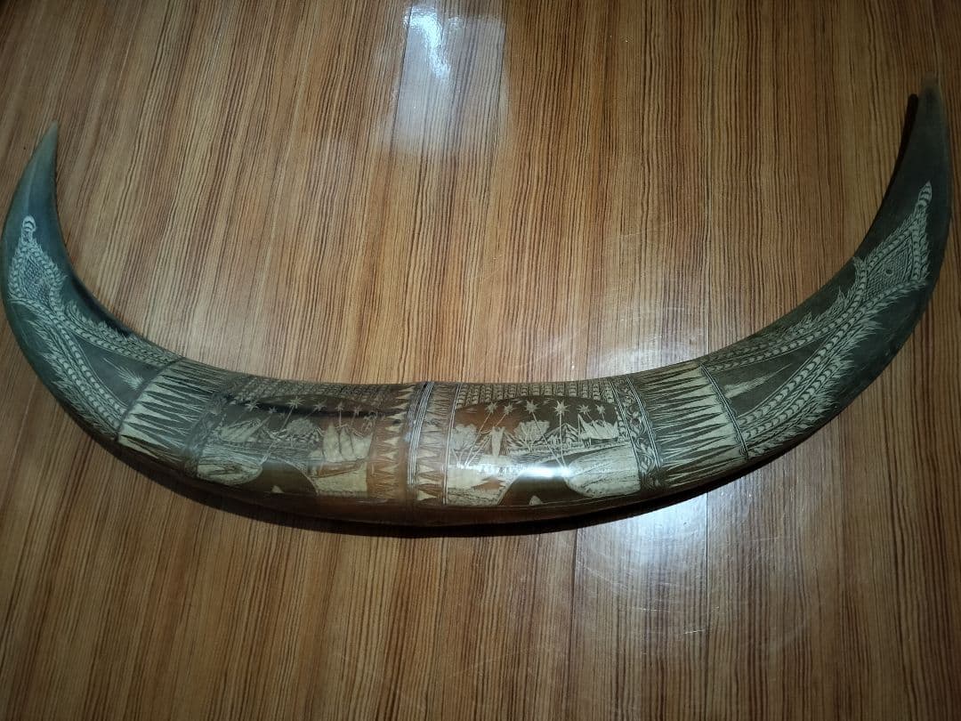 水牛つの　装飾品　インテリア　コレクター　コレクション