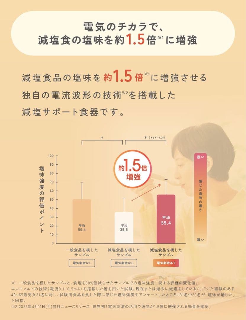 KIRIN キリン エレキソルト スプーン ES-S002 減塩 ホワイトグレー