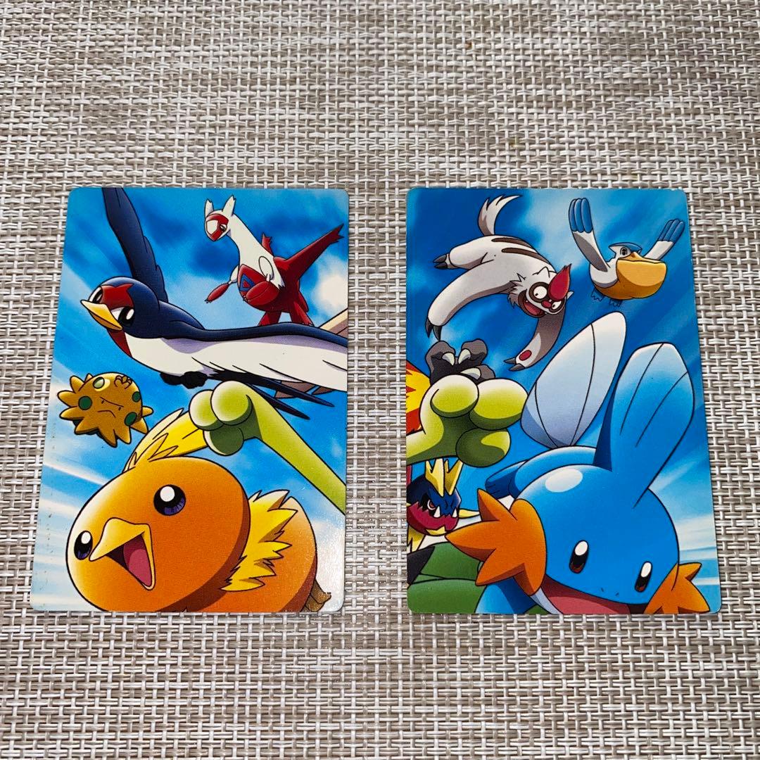 キモリ&サトシ アチャモ&ハルカ 2点セット ワンオーナー ポケモン