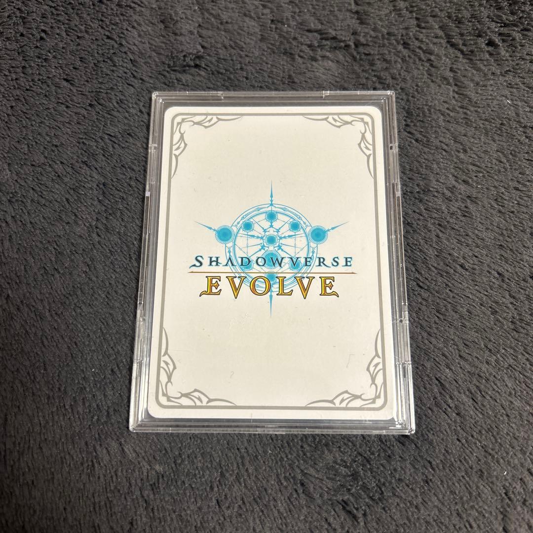 値下げ中‼️分かたれぬ恋・ミルティオ リーダー