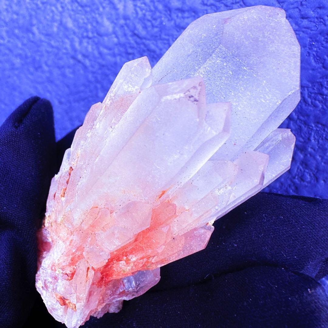 爆アレ❗️可愛いピンク♡超綺麗マダガスカル産パイナップルピンククラスターA1489