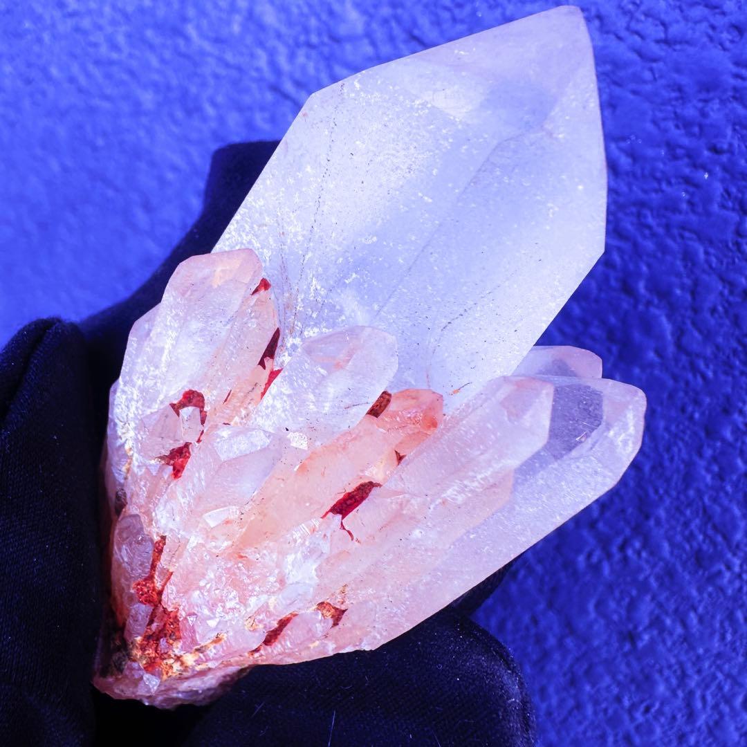 爆アレ❗️可愛いピンク♡超綺麗マダガスカル産パイナップルピンククラスターA1489