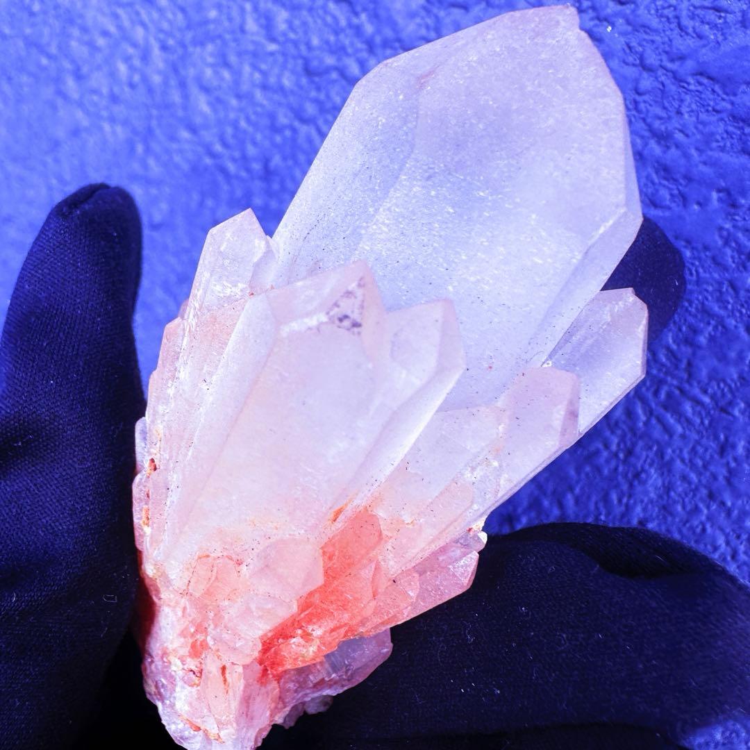 爆アレ❗️可愛いピンク♡超綺麗マダガスカル産パイナップルピンククラスターA1489