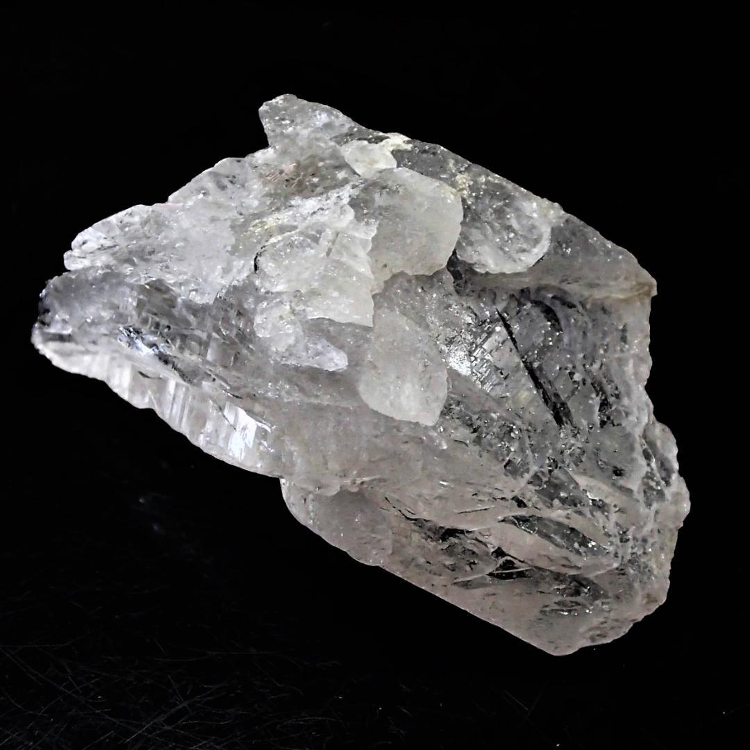 値下しました！ティップリン産ポイント-60-1