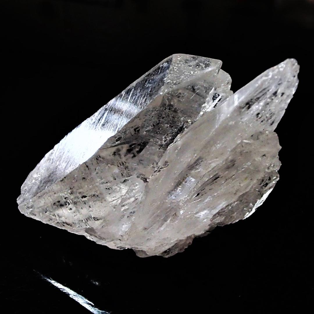 値下しました！ティップリン産ポイント-60-1