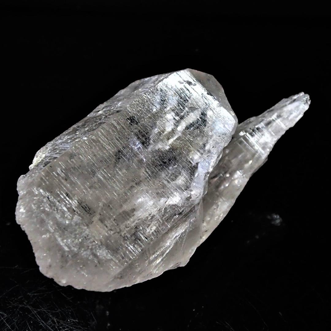 値下しました！ティップリン産ポイント-60-1