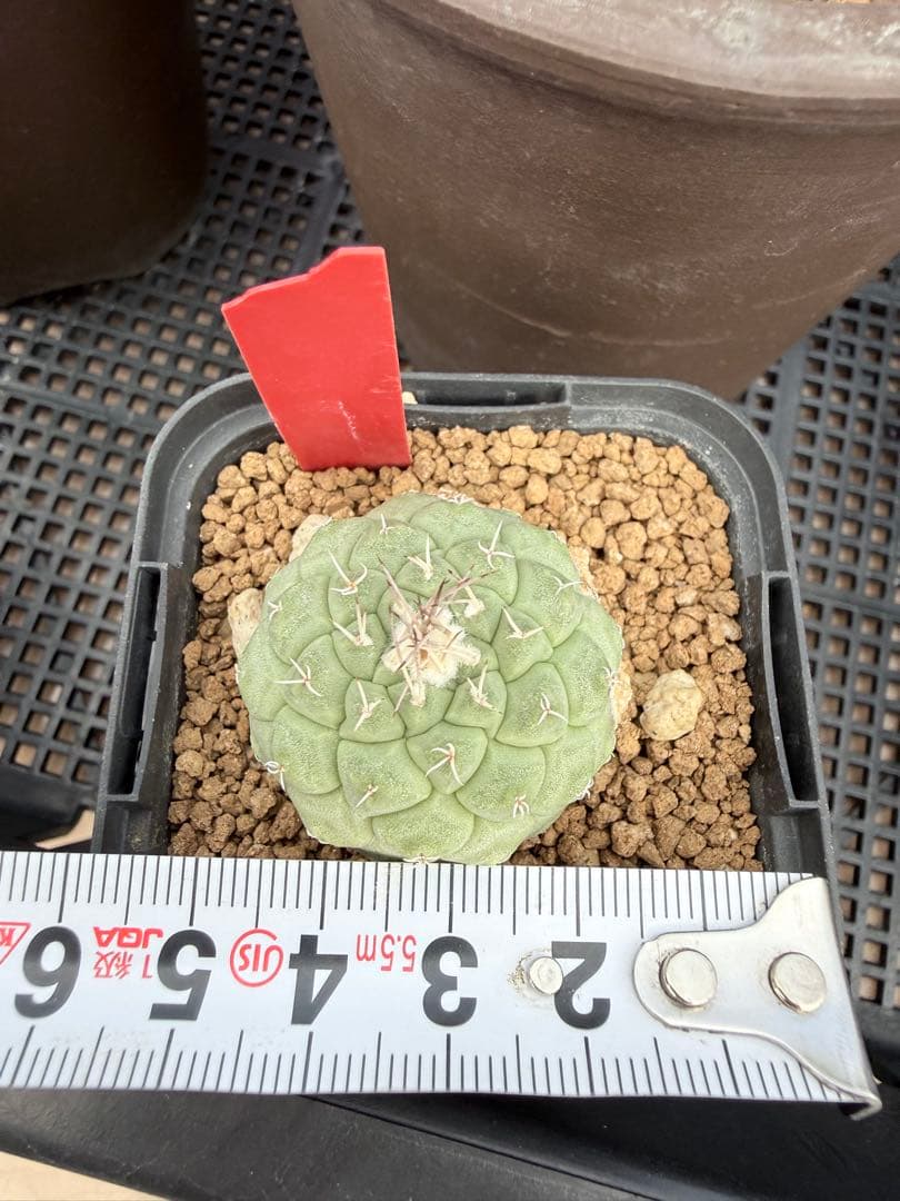 koheeeiheeei様　おまとめ専用