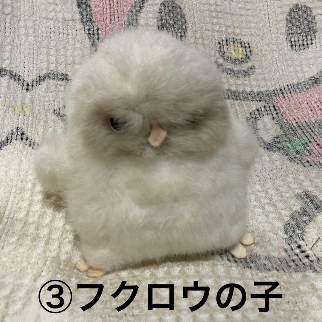 やまね工房 ぬいぐるみ 8コセット 中古品 落合けいこ - メルカリ