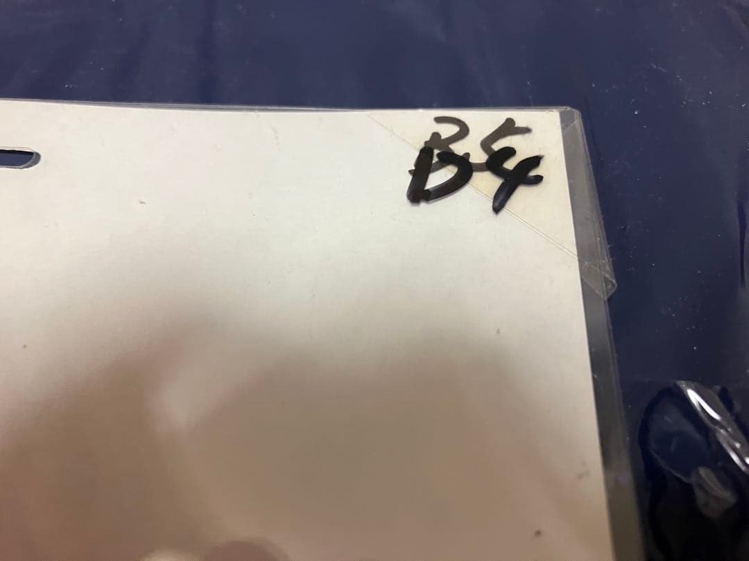 ジブリ　セル画　紅の豚　フィオ　宮崎駿　岡村明美　原画　動画　直筆イラスト　レア