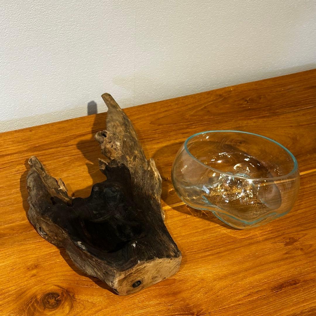 バリ島流木ガラス　w32×d17×h10cm 水槽　アクアリウムメダカ水槽809