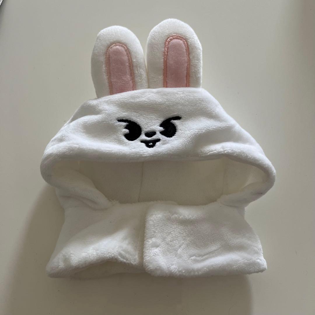 StrayKids スキズ リノ リービット ペンライトカバー ver1 - メルカリ