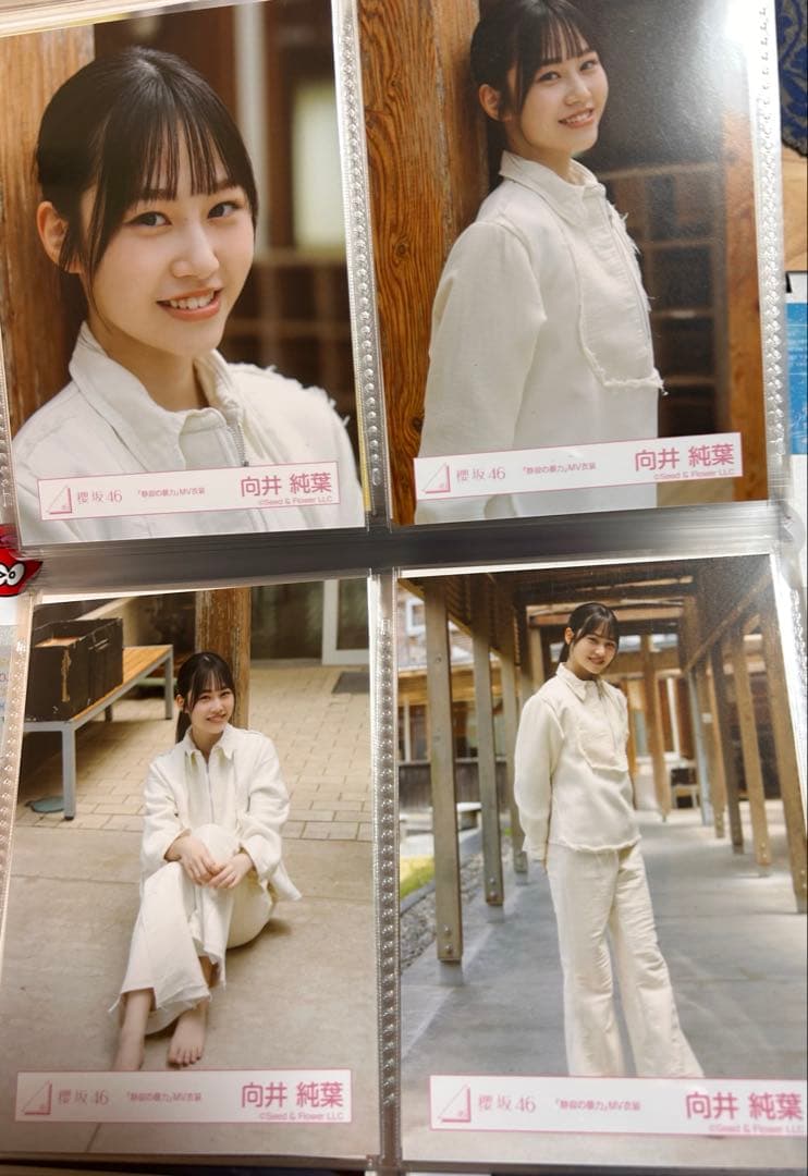 櫻坂46 向井純葉 静寂の暴力 MV衣装 生写真 コンプ - メルカリ