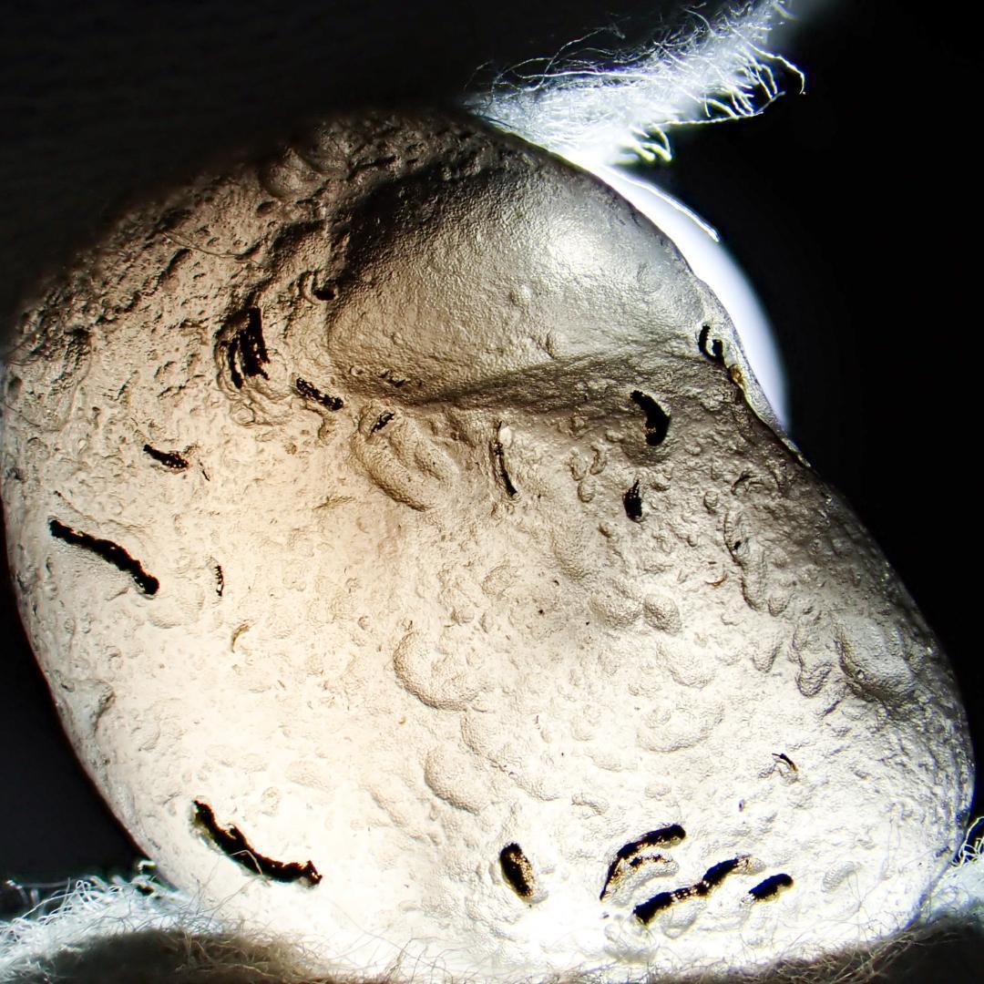 天然石 タキオン チンターマニ 隕石 原石 水晶 結晶 ポイント パワーストーン