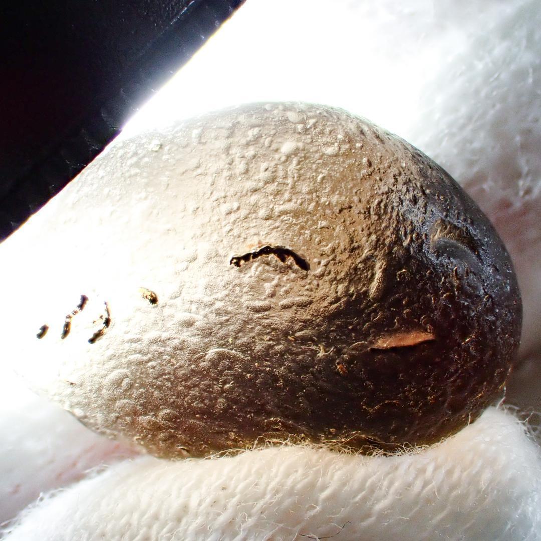 天然石 タキオン チンターマニ 隕石 原石 水晶 結晶 ポイント パワーストーン