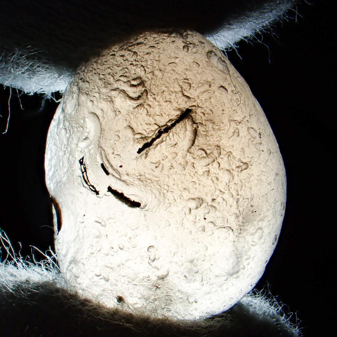 天然石 タキオン チンターマニ 隕石 原石 水晶 結晶 ポイント パワーストーン