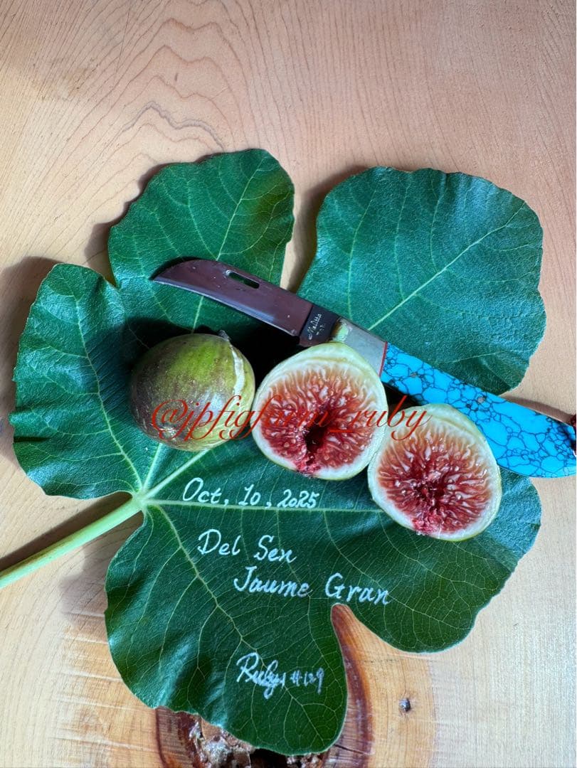 専用です。超絶お得！超超超レア結実確認済品種穂木3本セット