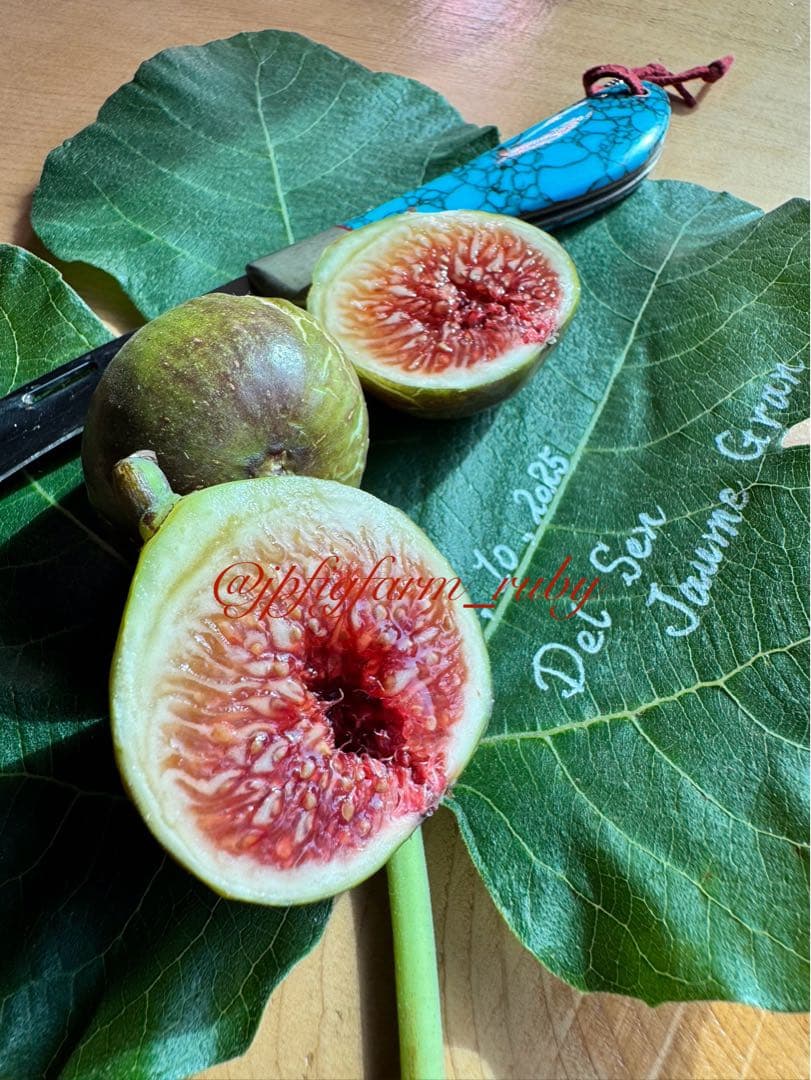 専用です。超絶お得！超超超レア結実確認済品種穂木3本セット