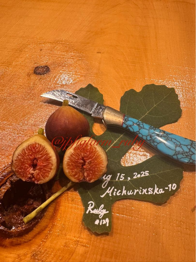 専用です。超絶お得！超超超レア結実確認済品種穂木3本セット