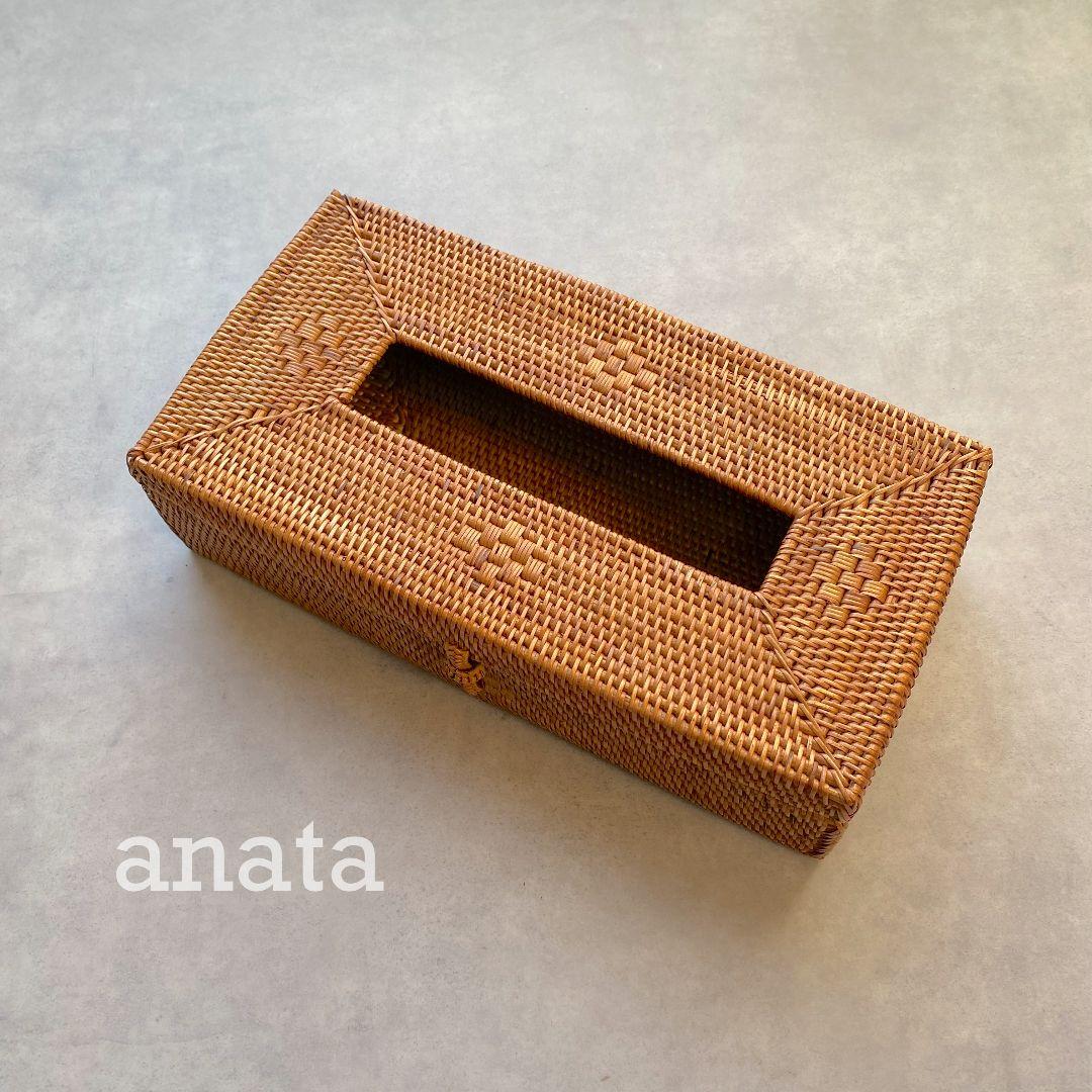 専用出品　ティッシュケース(モチーフ×1 ムジ×1)