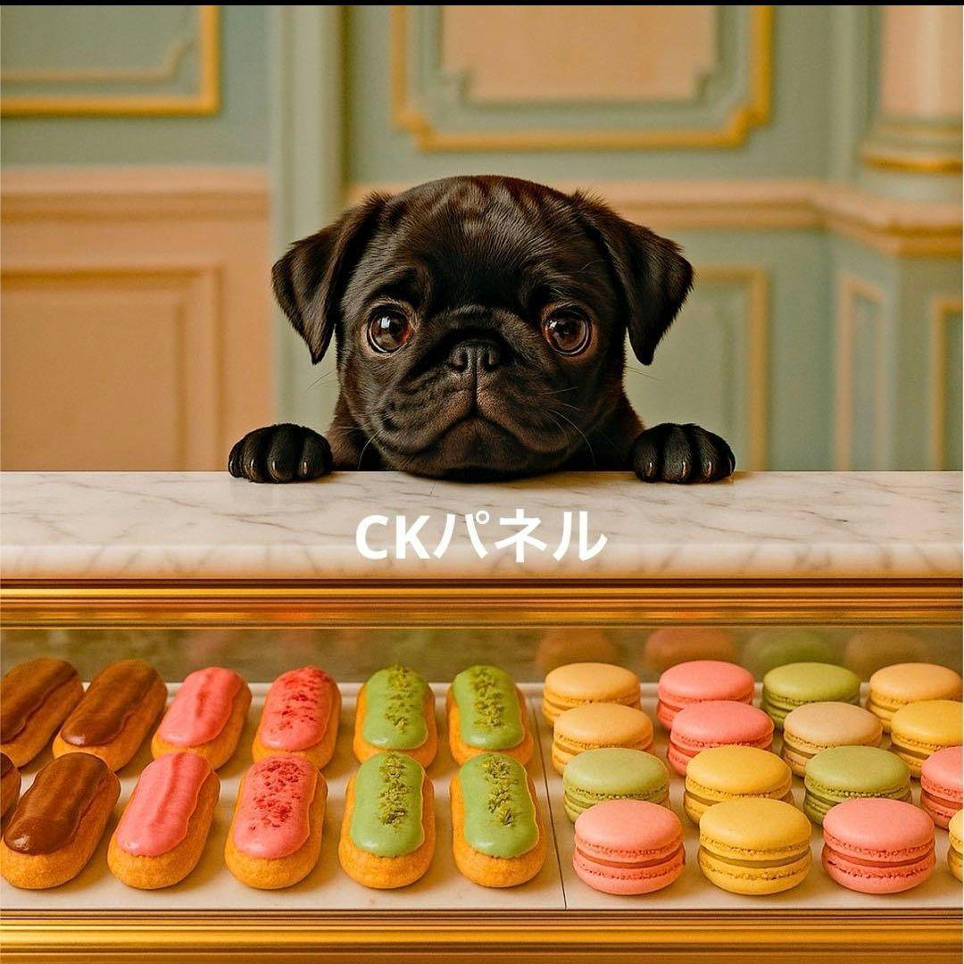 激レアパグパネル生地　ハンドメイド