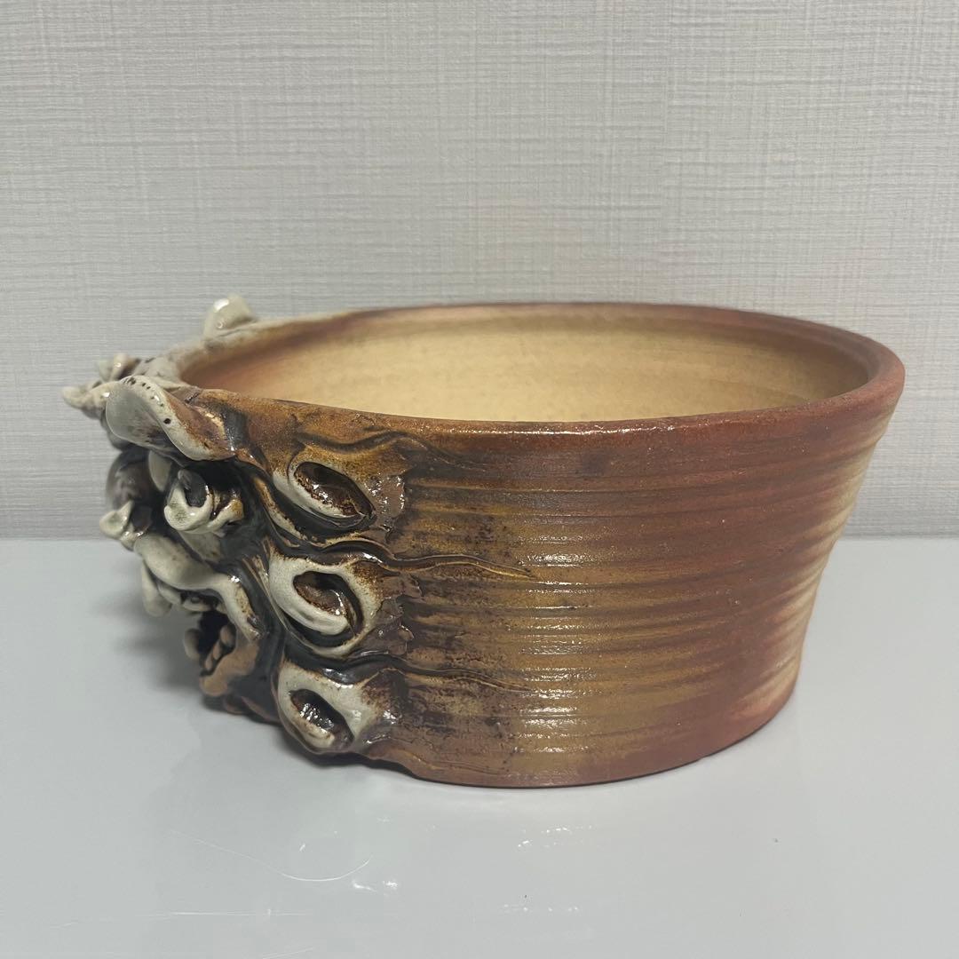 植木鉢　やちむん　シーサー　盆栽　塊根植物