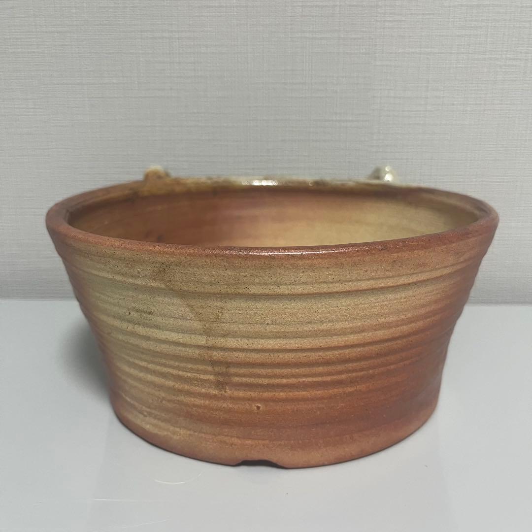 植木鉢　やちむん　シーサー　盆栽　塊根植物