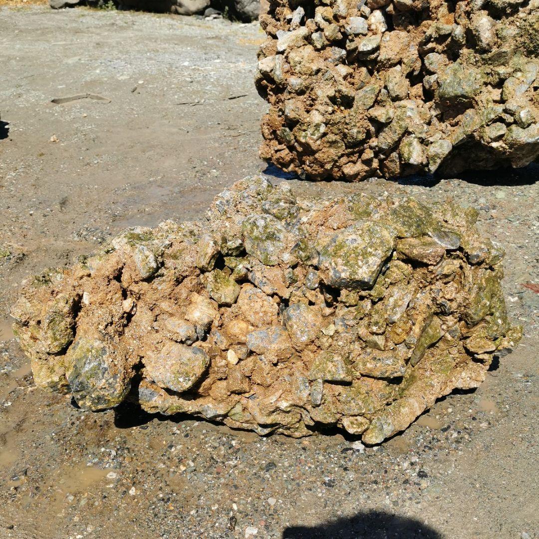 岐阜県　揖斐川産　さざれ石　64キロ　庭石　鑑賞石　石　庭　坪庭　ガーデニング